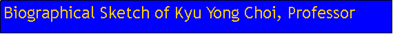 Text Box: Biographical Sketch of Kyu Yong Choi, Professor