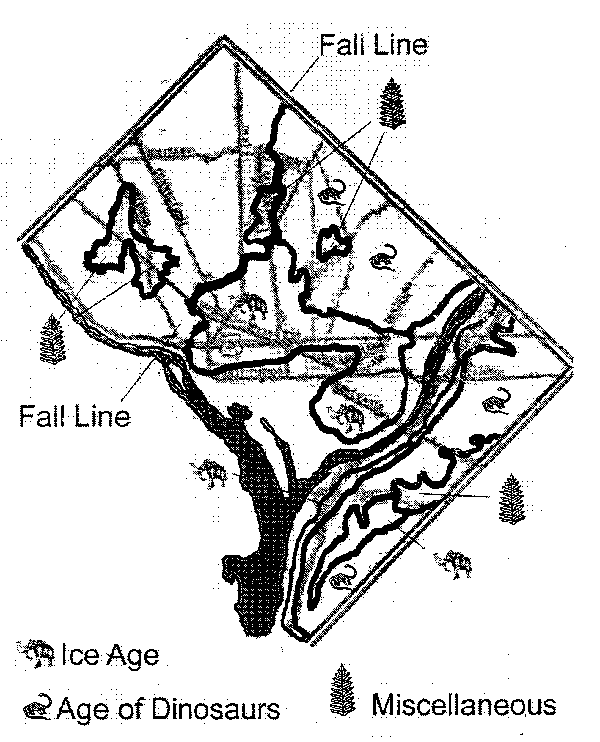 Map of fossils in DC