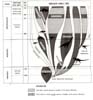 Dinosaur Family Tree