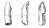 Tooth