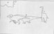Dinosaur Drawing