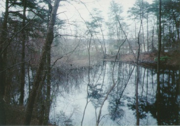 Flooded Mine