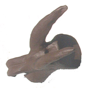 sculptured vertebra