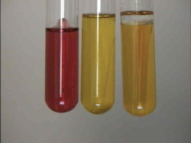 sugar fermentation tubes