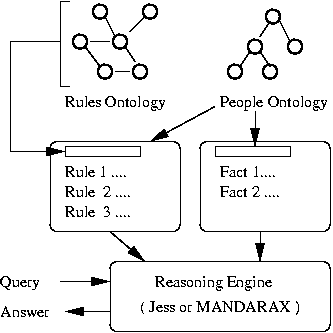 [System Rules] 