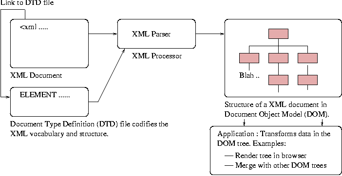 [XML DOM Tree ]