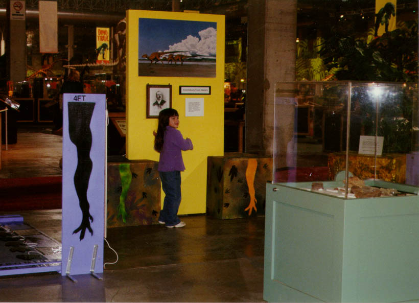 More_of_the_Display