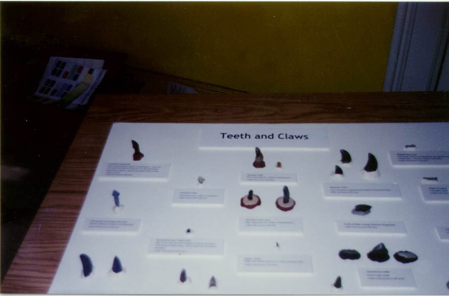 Teeth_and_Claws
