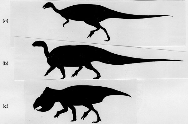 Shadow of Dinosaurs