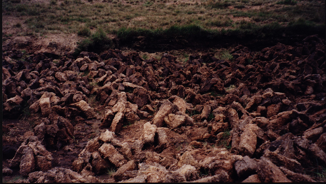 Peat