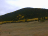 Aspen mixed with pine trees