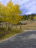 Another aspen shot