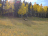 A better view of an elk