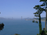 Golden Gate through trees