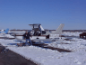 Rex and N5548H in snow