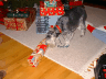 Madchen opening another present