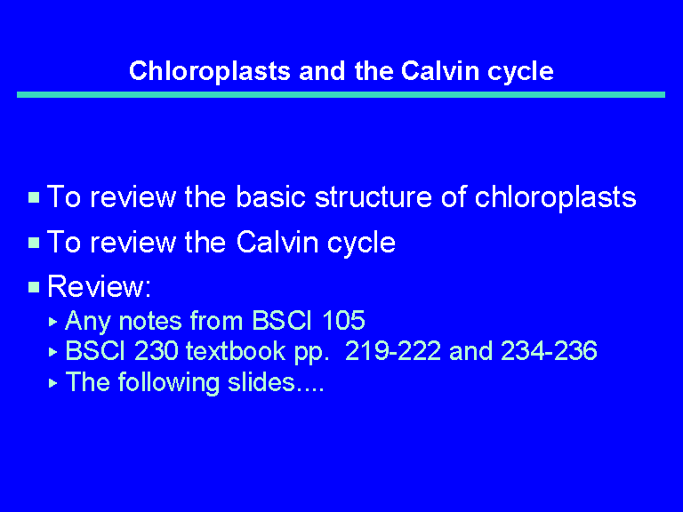 Chloroplasts and the Calvin cycle