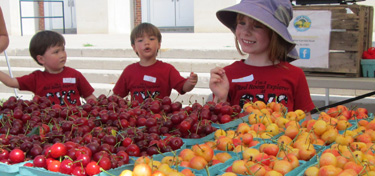 Cherries