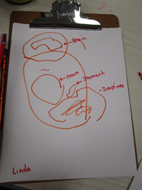 drawing