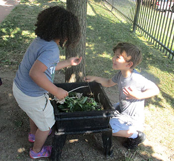 Making compost