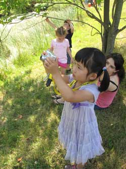 Taking pictures