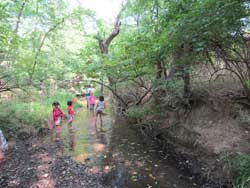 Campus Creek