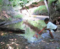Campus Creek