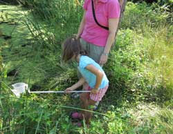 dipping for pond water