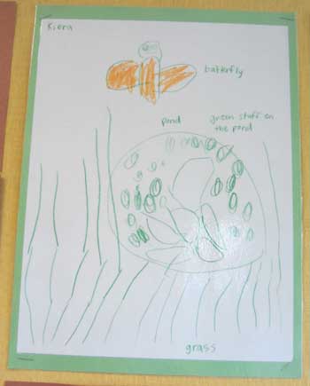 Pond Drawing