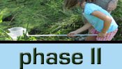 phase II button