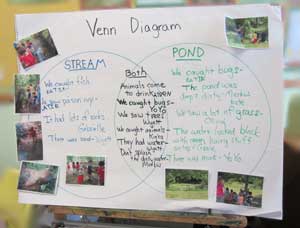 Venn Diagram