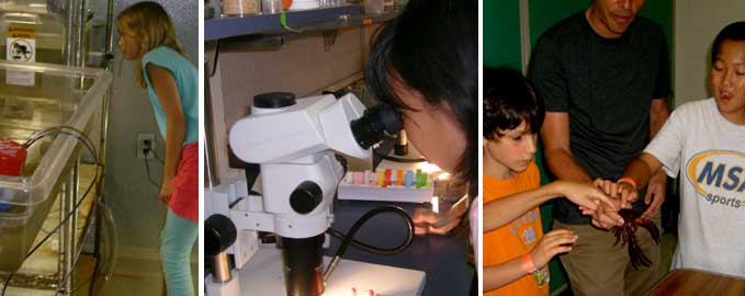 Bio lab