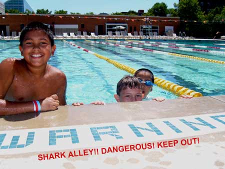Sharks and Minnows 2