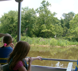 The Anacostia