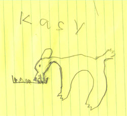 Kasy